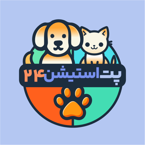 پت استیشن ۲۴